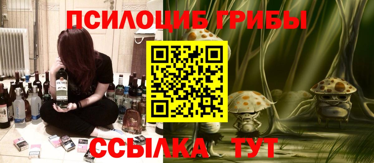 Каменск-Шахтинский  Псилоцибиновые грибы Psilocybe  Вход с VPN 